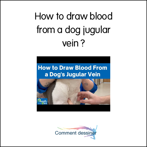 How to draw blood from a dog jugular vein How to draw